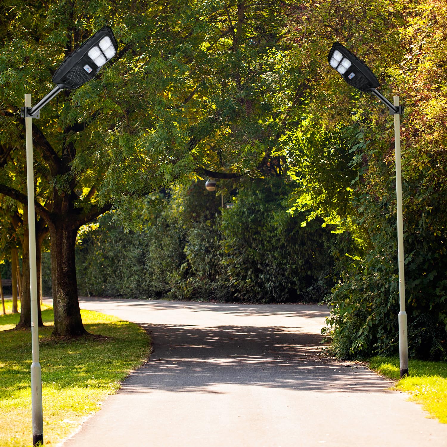 solar street light1