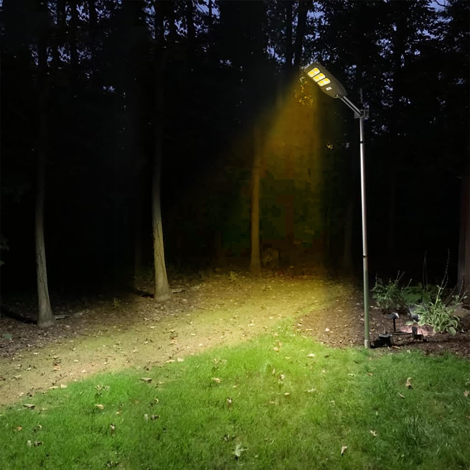 solar street light12